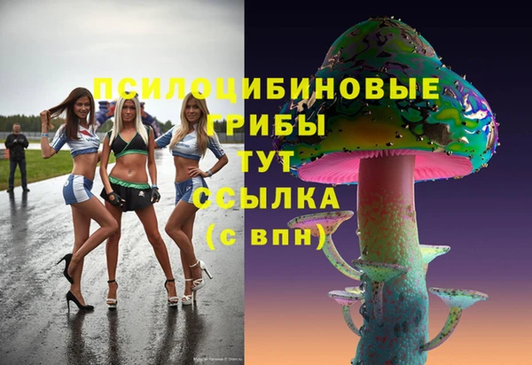 СК Алзамай