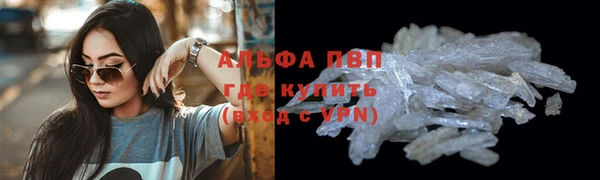 СК Алзамай