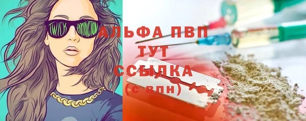СК Алзамай