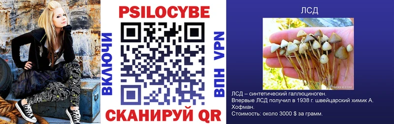 Галлюциногенные грибы GOLDEN TEACHER  где продают   omg как зайти  Приморск 